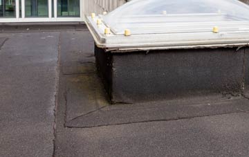 disadvantages of Norton Heath flat roofs