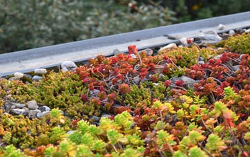 the cost of Norton Heath green roof installation