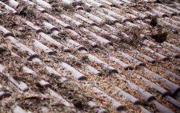 Norton Heath roof cleaning companies