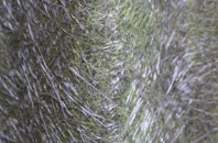 Norton Heath fibreglass roof work